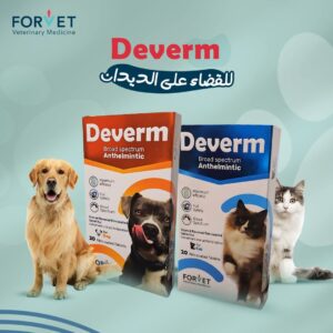 deverm (1tablet)