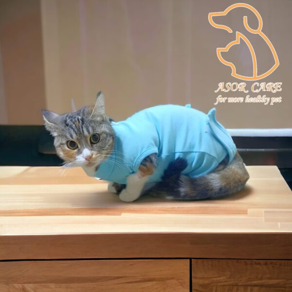recovery suit